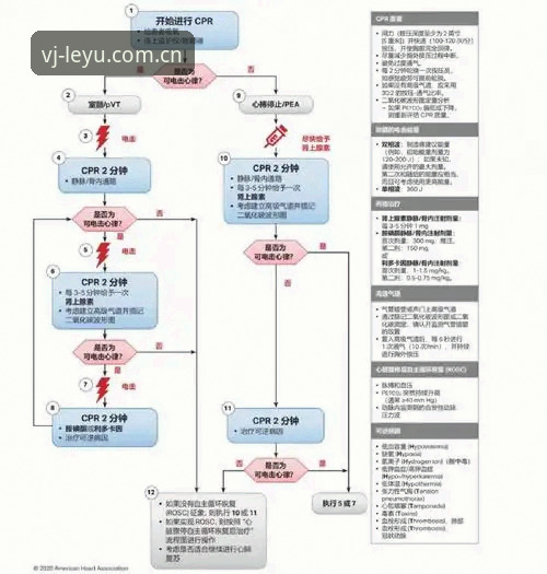 乐鱼VVJJ极简登录 2025 埃里克森球场昏倒事件完整复盘指南:从急救流程到职业生涯危机